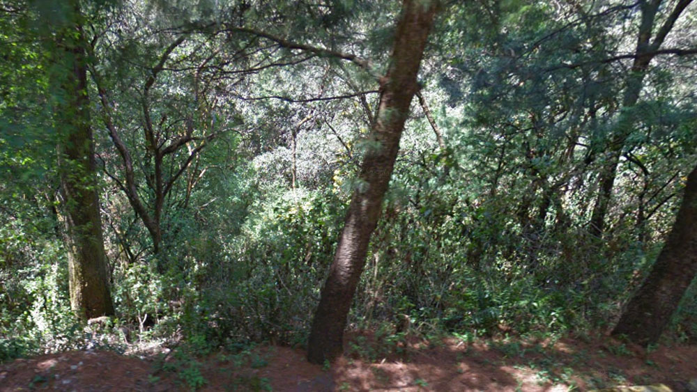 Sin indicios de tigre en el Desierto de los Leones