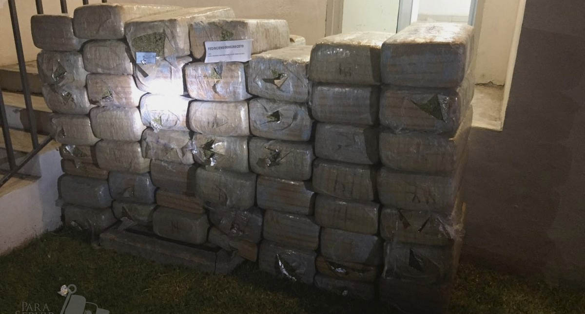 Aseguran 200 kilogramos de mariguana en Ensenada, Baja California