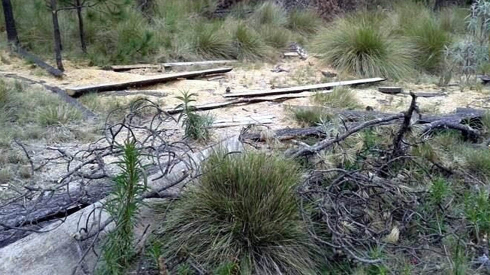 Inai ordena a la FGR informar sobre fosas clandestinas en Ciudad de México Inai ordena a la FGR informar sobre fosas clandestinas en Ciudad de México