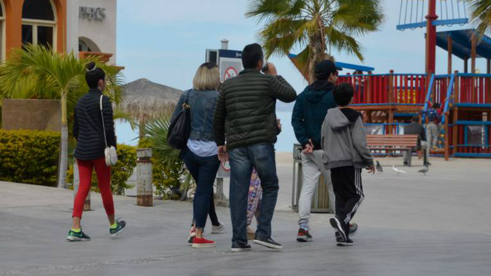 Advierten por temperaturas bajo cero en sierras de Baja California Sur