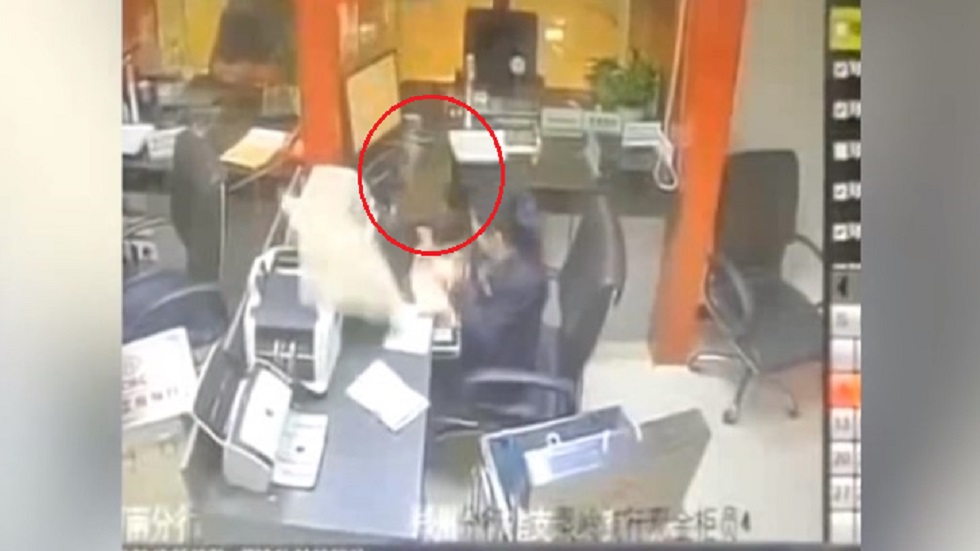 #Video Gato le cae del techo a ejecutiva de banco