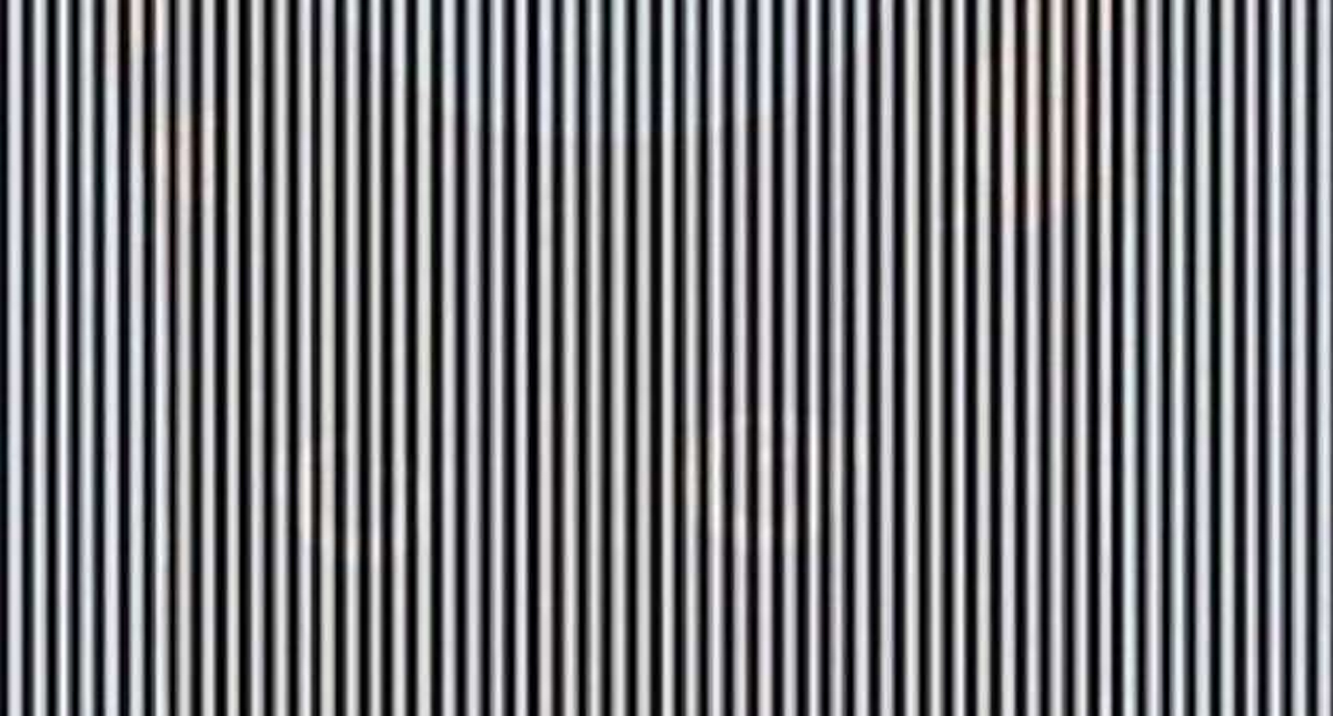 La ilusión óptica que muestra un animal