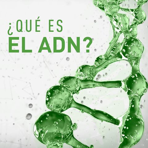 ¿Quieres mejorar tu entrenamiento y nutrición?