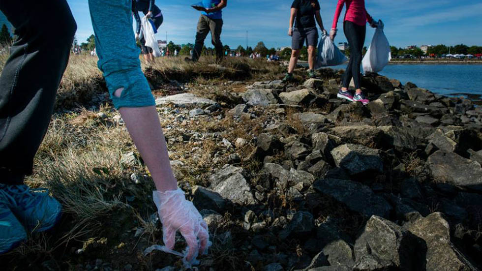 Por cada tres toneladas de peces habrá una de plástico en océanos - limpieza-en-portland-maine