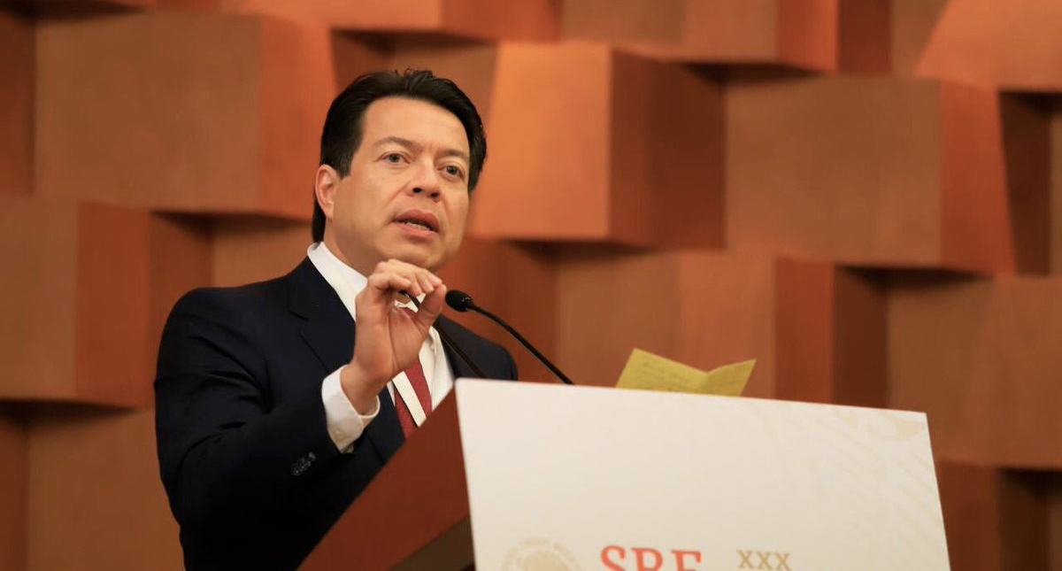 Guardia Nacional será una institución policial con dirección civil: Delgado