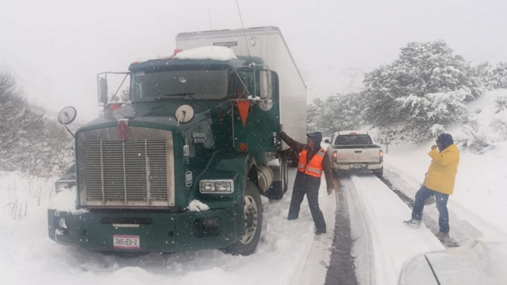 Emiten declaratoria de desastre por heladas en Sonora