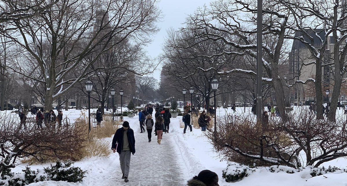 Chicago está en alerta por temperaturas de hasta -45 grados - nieve-en-la-universidad-de-chicago