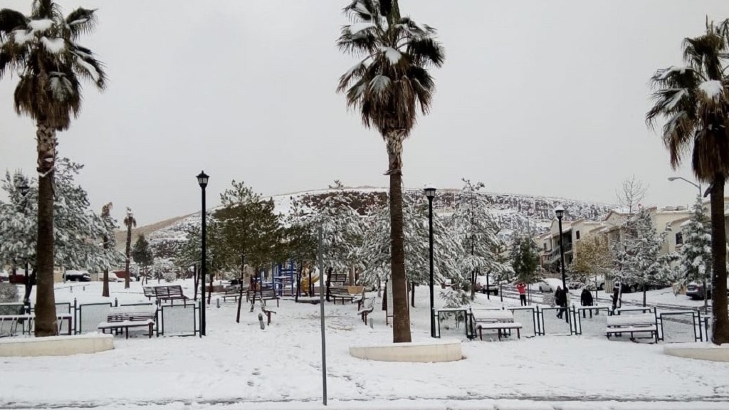 Declaran emergencia en 38 municipios de Sonora por nevadas - nieve-en-nogales