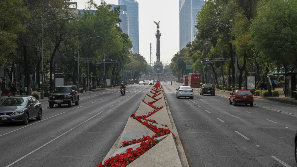 Ciudad de México podría tener City Manager a favor del medio ambiente
