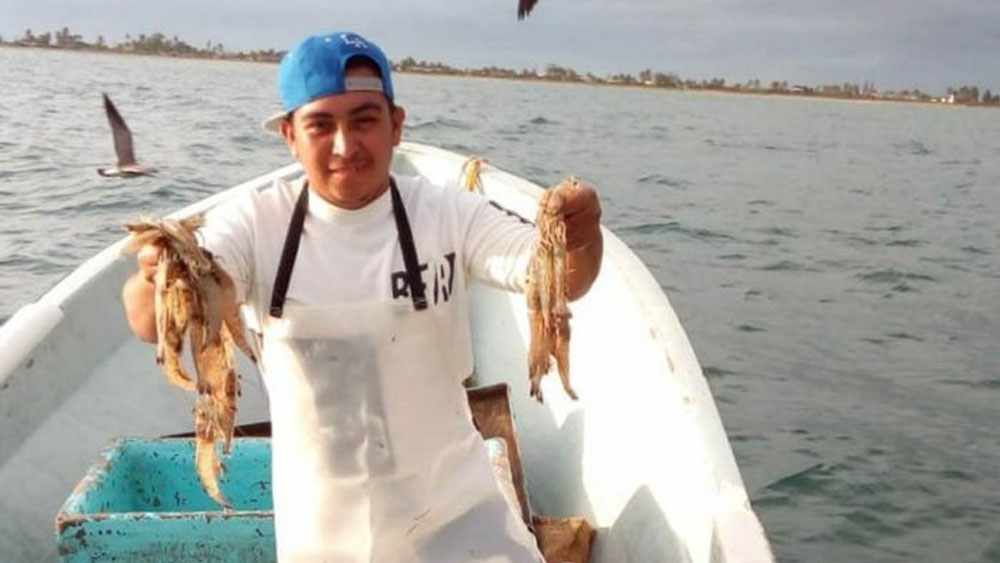 Hacienda otorgará estímulos fiscales a combustibles en pesca y agro en enero