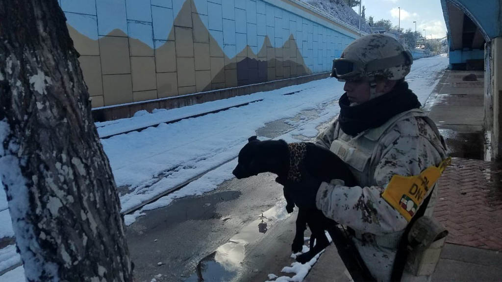 Activan el Plan DN-III en Sonora por tormentas invernales - plan-dn-iii-sonora-frio-3