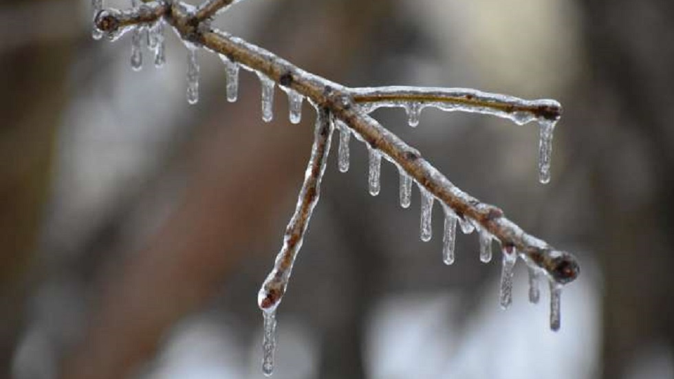 Nevadas y mal tiempo azotan al este de Estados Unidos - rama-congelada
