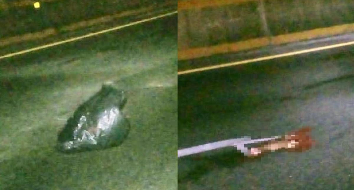 Esparcen cuerpo desmembrado en la Chilpancingo-Acapulco - restos-humanos-carretera