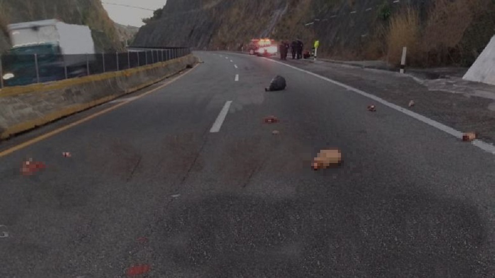 Esparcen cuerpo desmembrado en la Chilpancingo-Acapulco