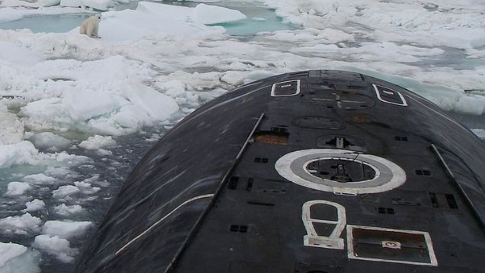Oso polar se acerca a submarino ruso para buscar comida - submarino-nuclear-oso-polar-2