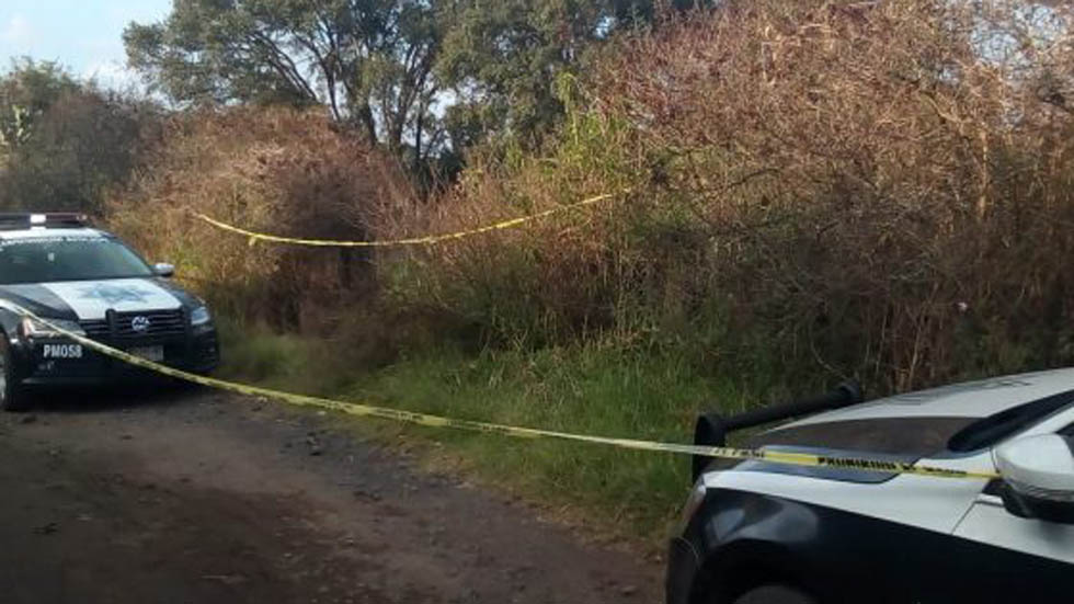 Hallan cadáveres decapitados en ejido de Michoacán