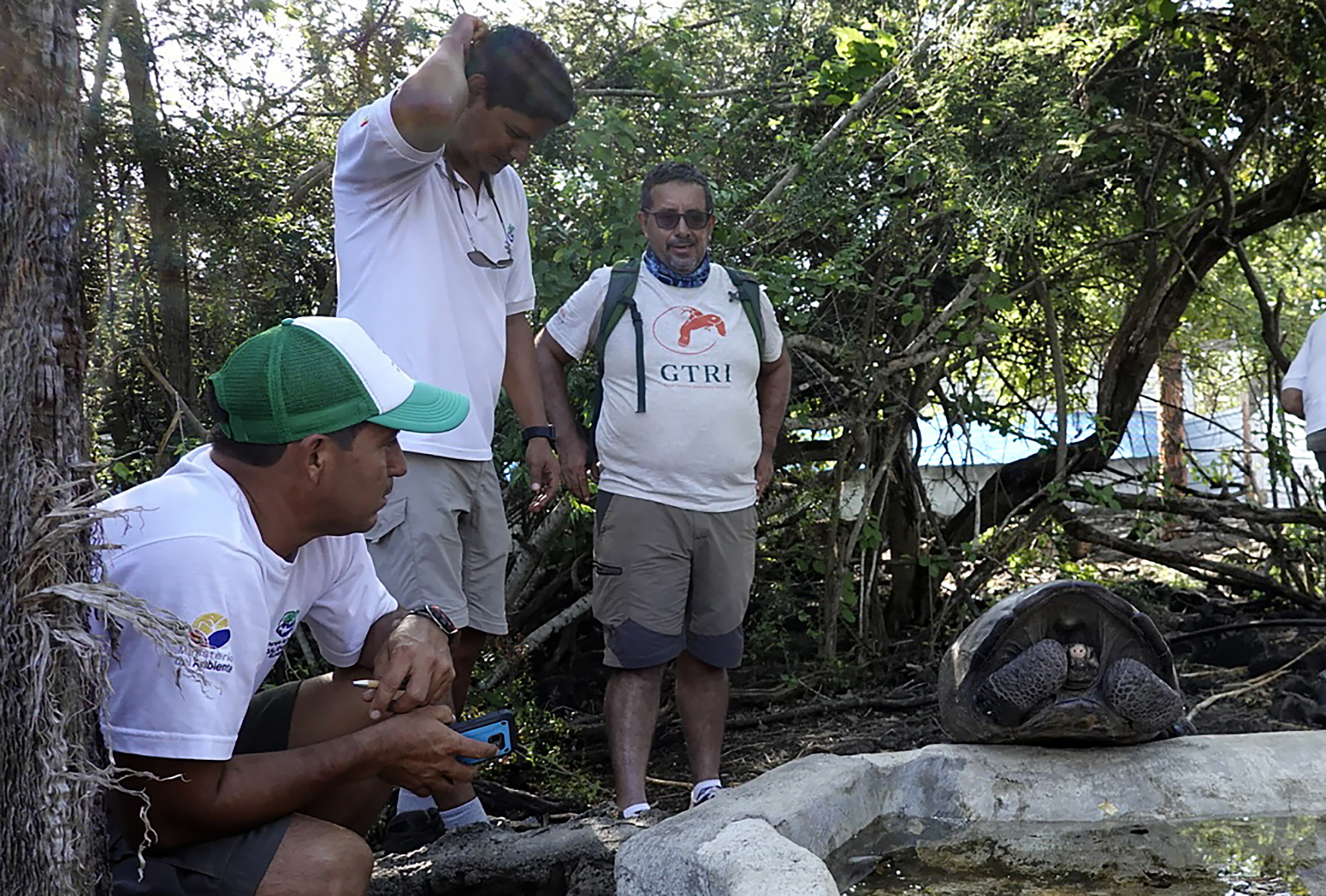 Hallan tortuga de Galápagos que se creía extinta hace más de 100 años - 000-1dn02k