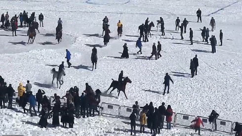 #Video Caballos de carrera casi aplastan a aficionados