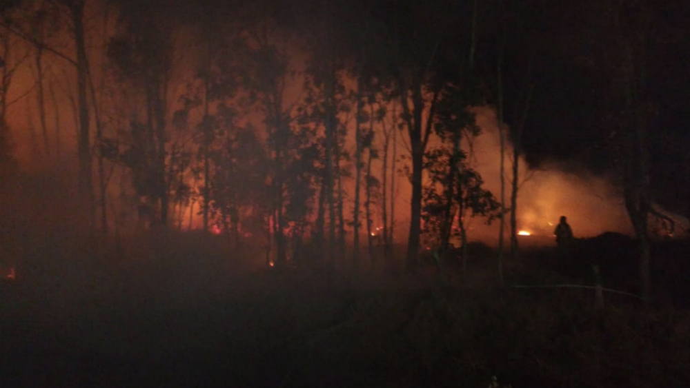 Atienden nuevos incendios en alcaldía de Xochimilco Atienden nuevos incendios en alcaldía de Xochimilco