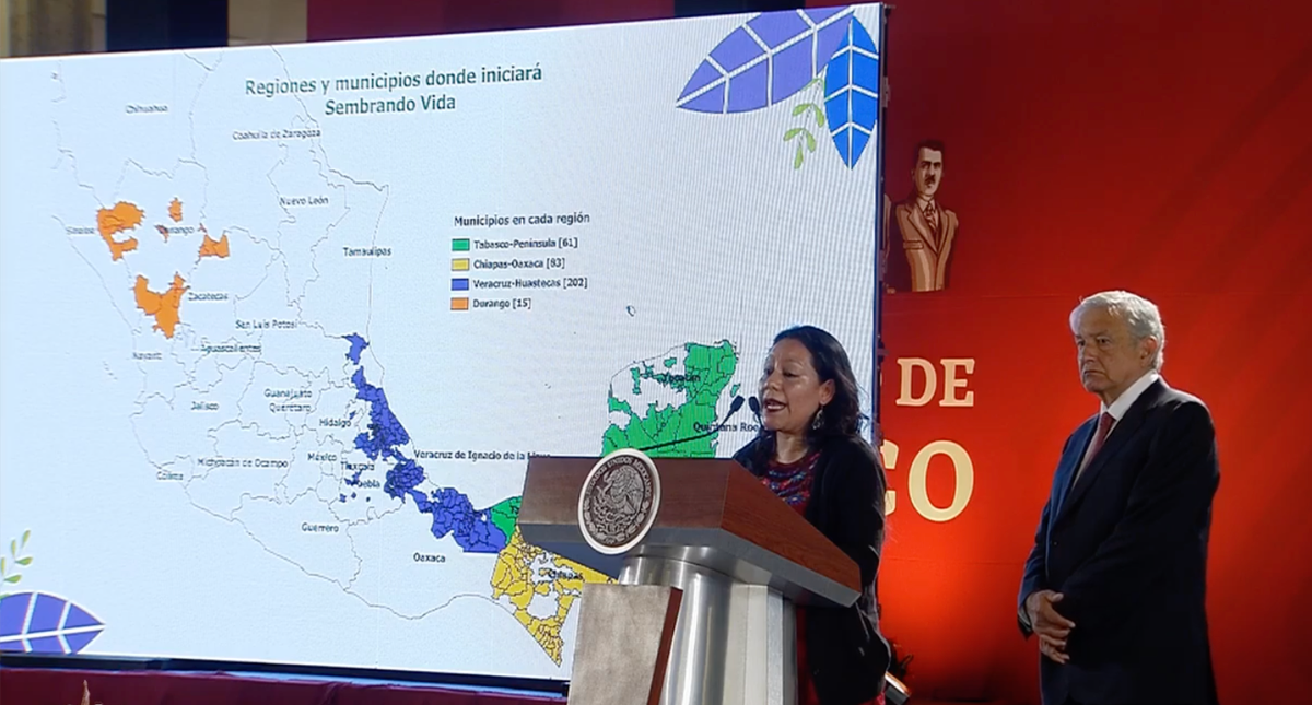 Conferencia de AMLO (01-02-2019)