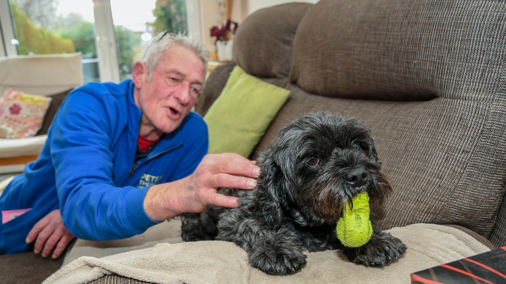 Perro se convierte en héroe tras despertar del coma a su dueño - andy-y-teddy