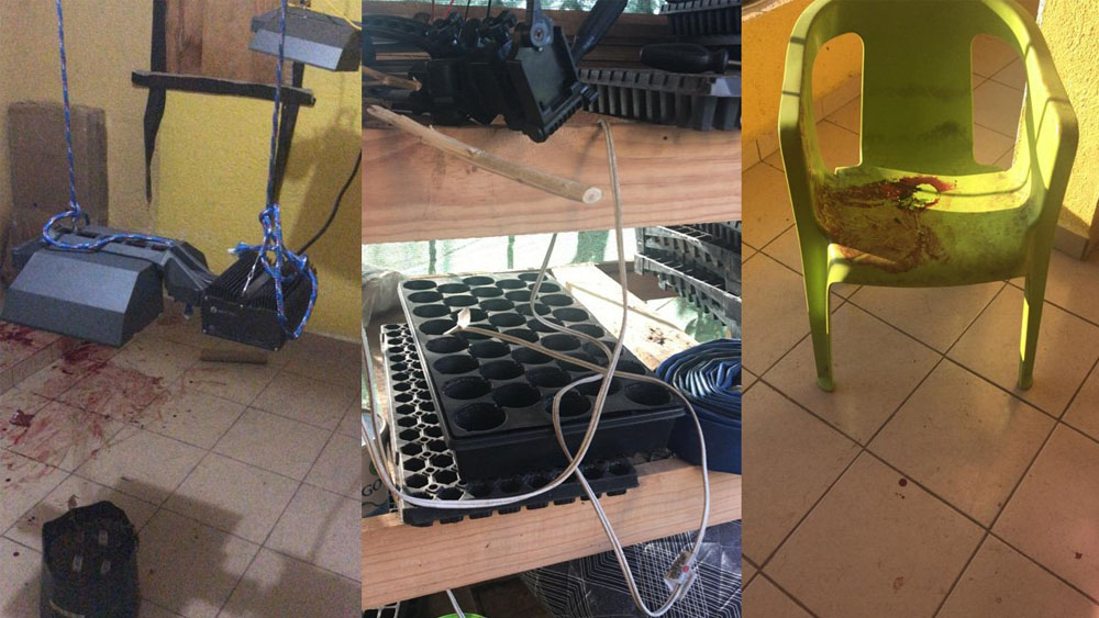 Investigan asesinato de estadounidense en Acapulco