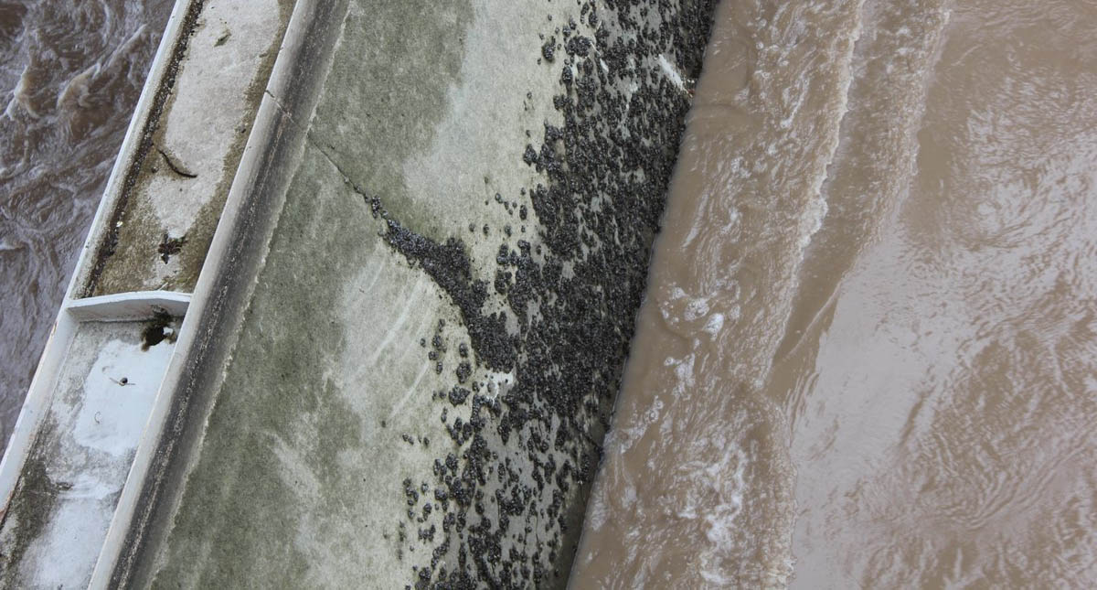 Olor desagradable en agua de la llave afecta a residentes de Austin