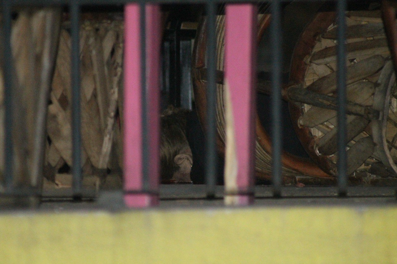 Comando dispara contra clientes de bar en Puerto Vallarta y mata a mujer - bar-2