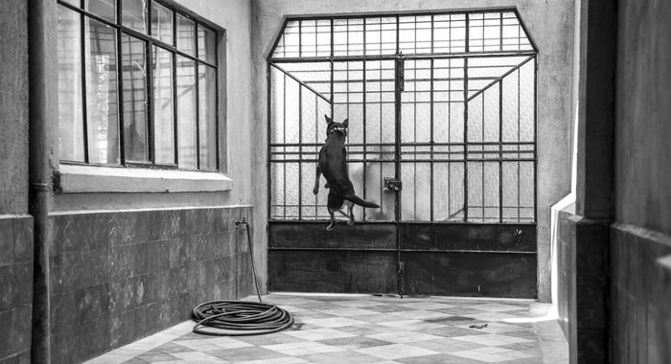 ‘El Borras’, la otra estrella de Roma