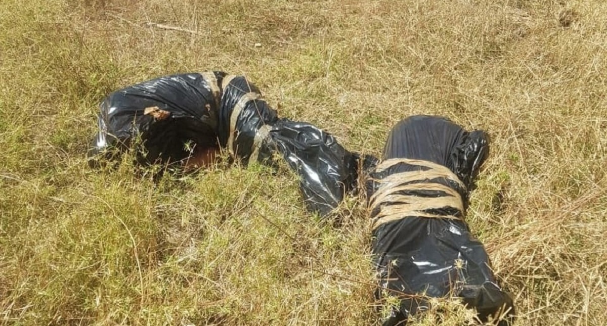 Joven asesina a sus padres como presunta prueba para entrar a grupo criminal - cadaveres-de-padres-en-morelos