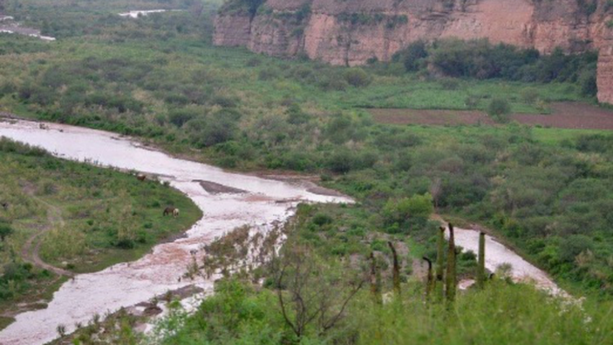 PGR dio carpetazo a investigación sobre derrame tóxico en Sonora