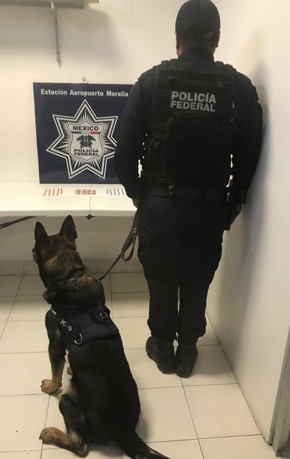 Hallan caja con éxtasis y LSD en baños del Aeropuerto de Morelia - droga-aeropuerto-morelia1