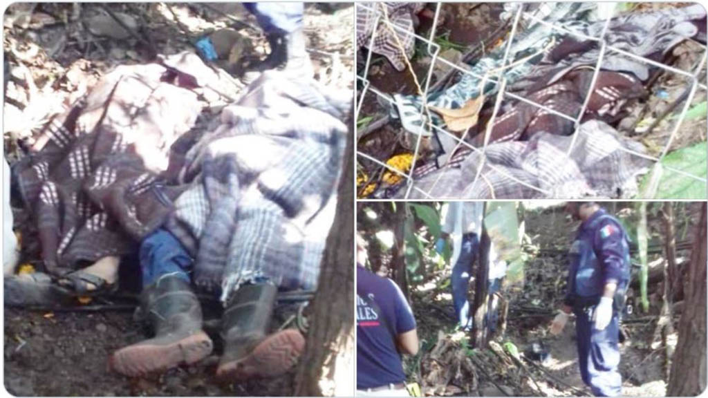 Ejecutan a ocho personas en Acatepec, Guerrero