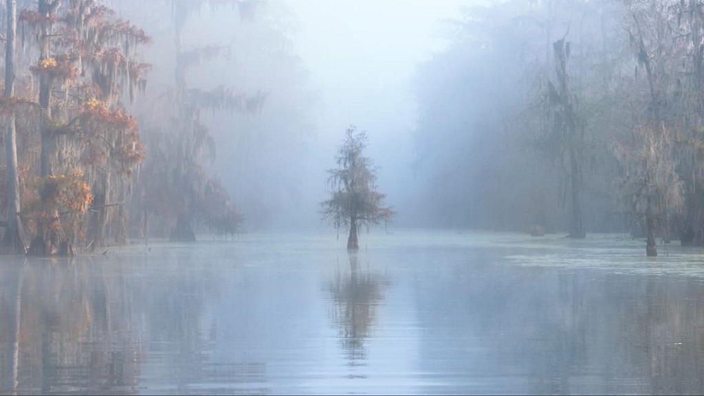 Premian las mejores fotografías 'al aire libre' - en-la-orilla-del-agua