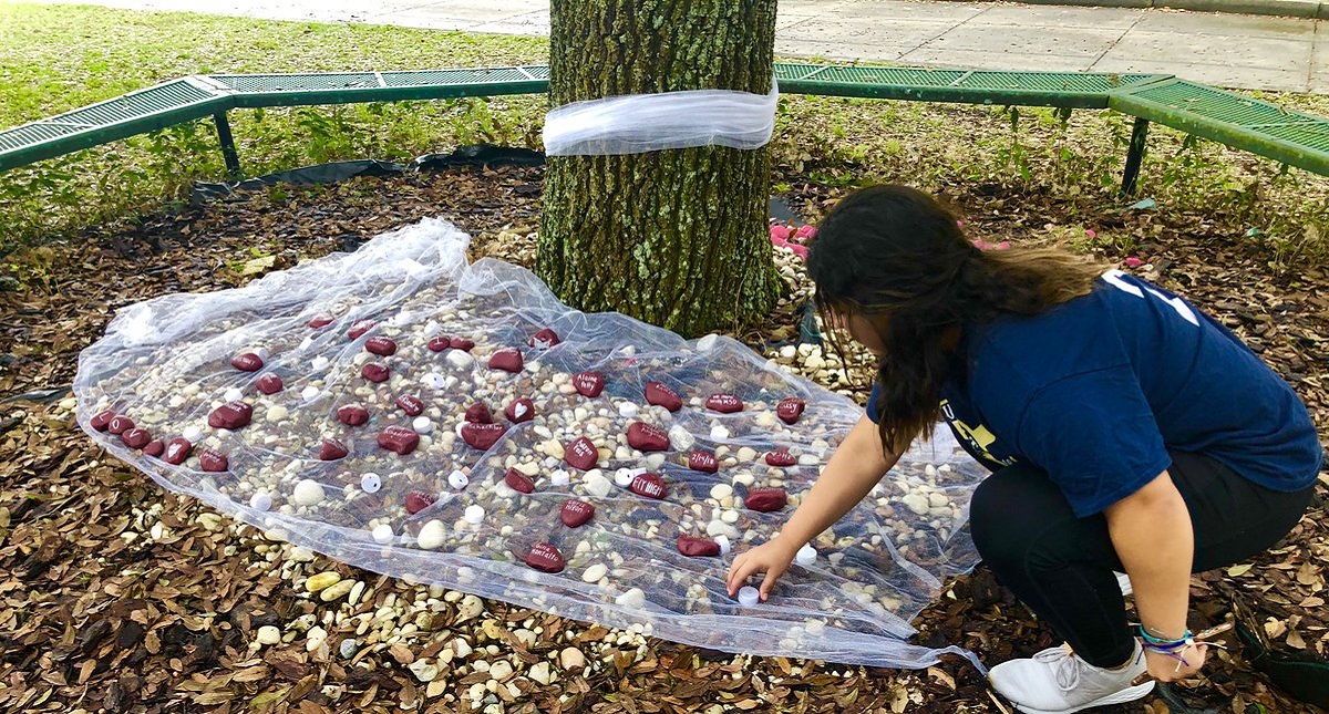 Sobrevivientes conmemoran primer aniversario de la masacre de Parkland - estudiantes-de-la-secundaria-msd-realizaron-un-memorial-al-pie-de-un-arbol-con-rocas