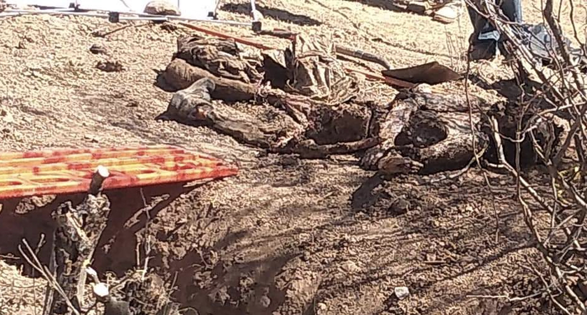 Encuentran dos cuerpos en fosa clandestina de Guerrero