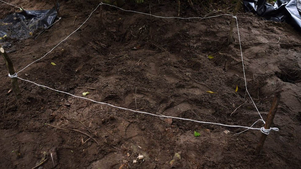 Hallan 69 cuerpos en fosas clandestinas en Tecomán, Colima