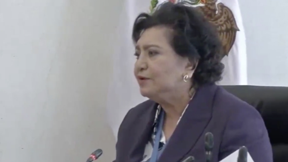 #Video Candidata a la CRE busca definición de organismo en internet