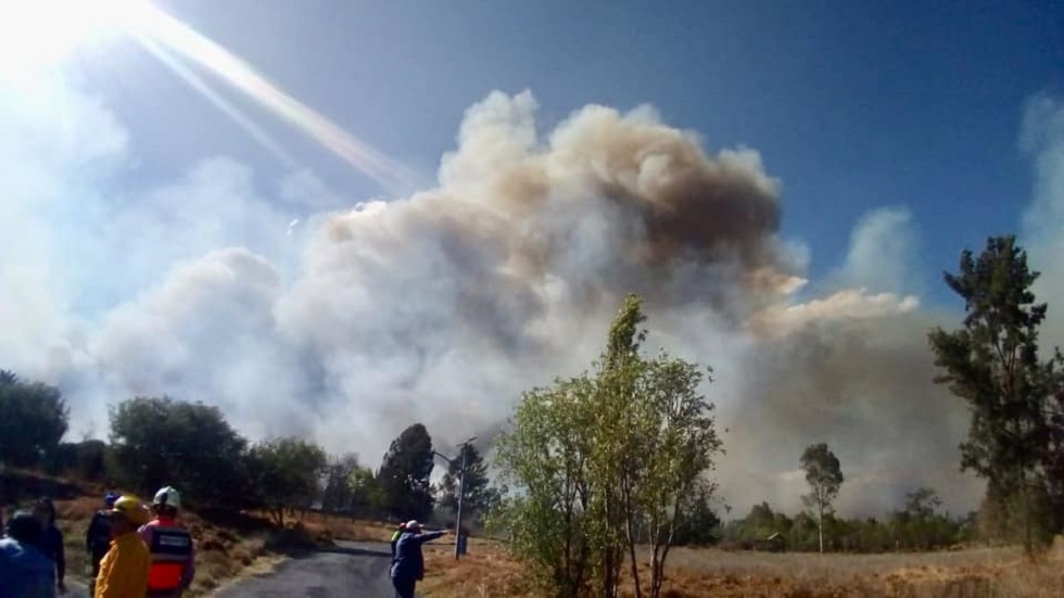 Quema de pastizales pudo detonar incendio en Xochimilco