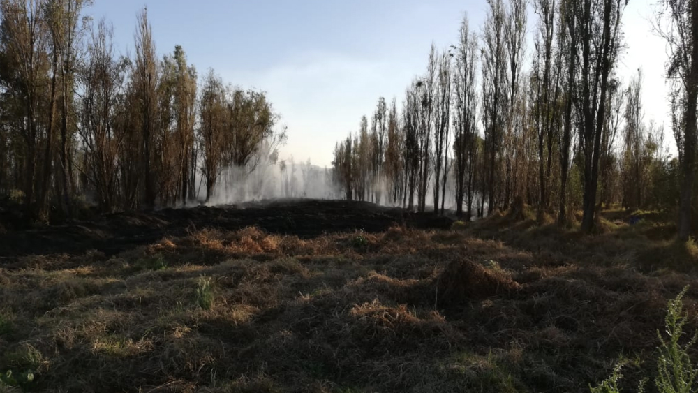 Controlan incendio forestal en la alcaldía Xochimilco