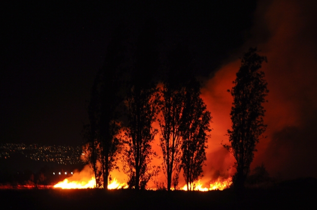 Incendio en Xochimilco afectó 40 hectáreas - incendio-xochimilco1