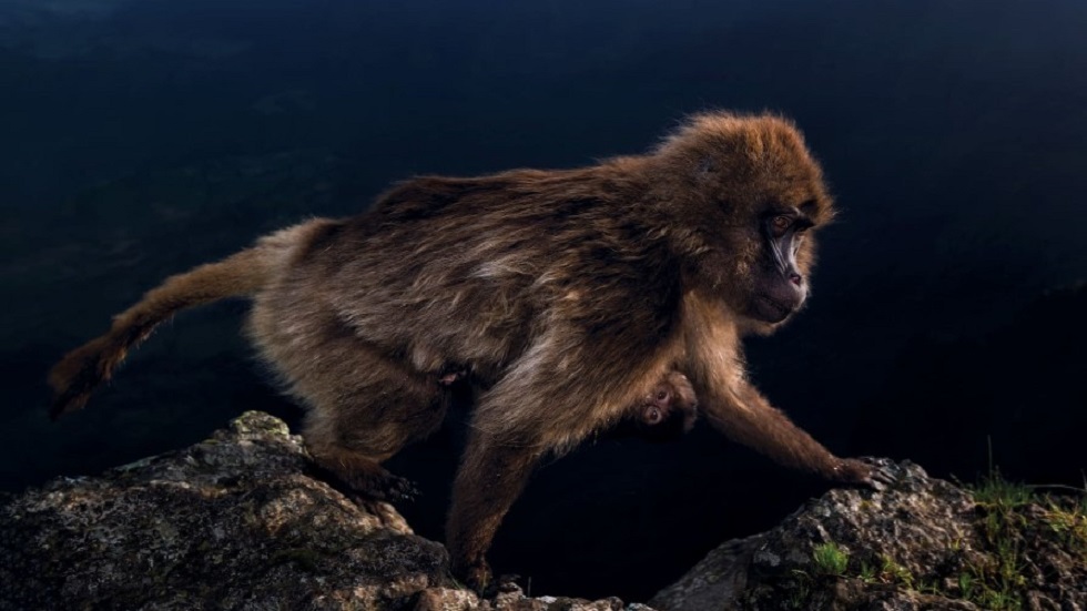 Premian las mejores fotografías 'al aire libre' - joven-fotografo-al-aire-libre-del-ano