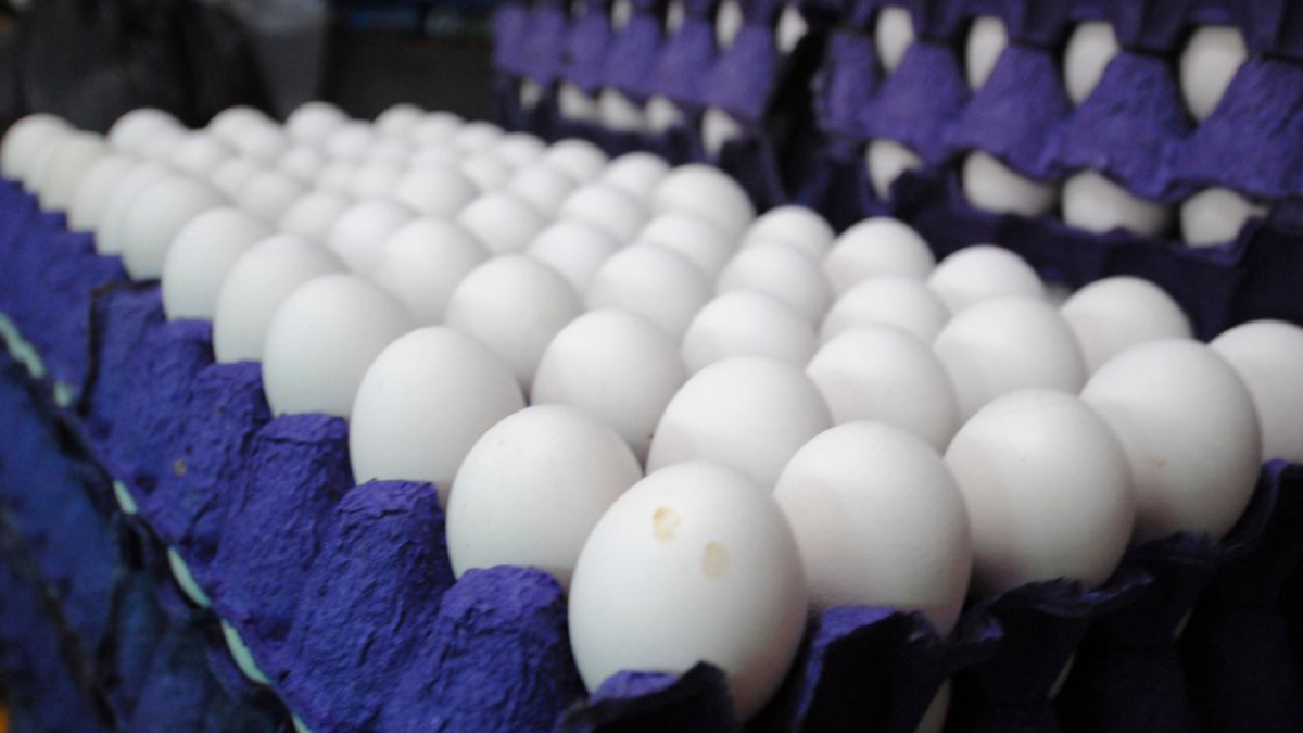 Kilo de huevo se mantiene hasta en 70 pesos