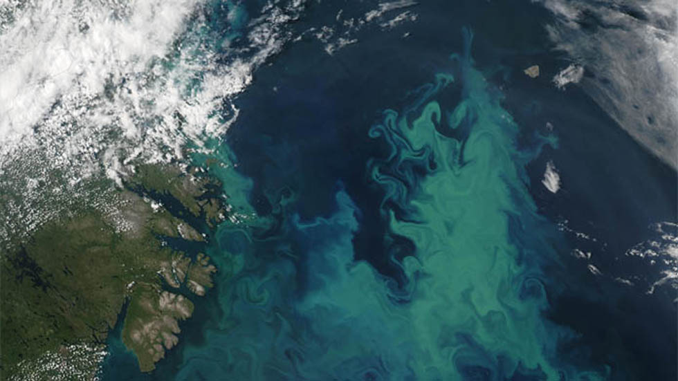 Calentamiento global cambiará el color de los mares