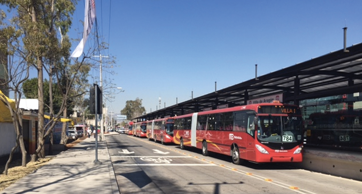 Sedema deberá dar cifra de árboles derribados por construcción de Metrobús