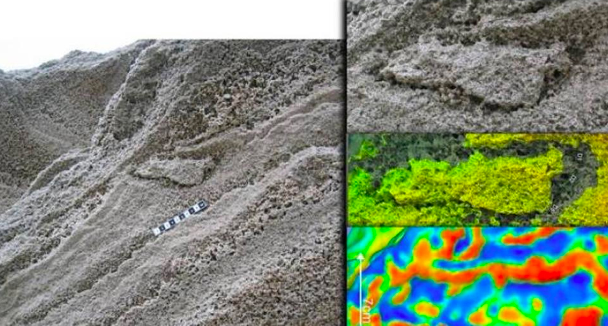 Descubren segunda huella del Neandertal - neandertal