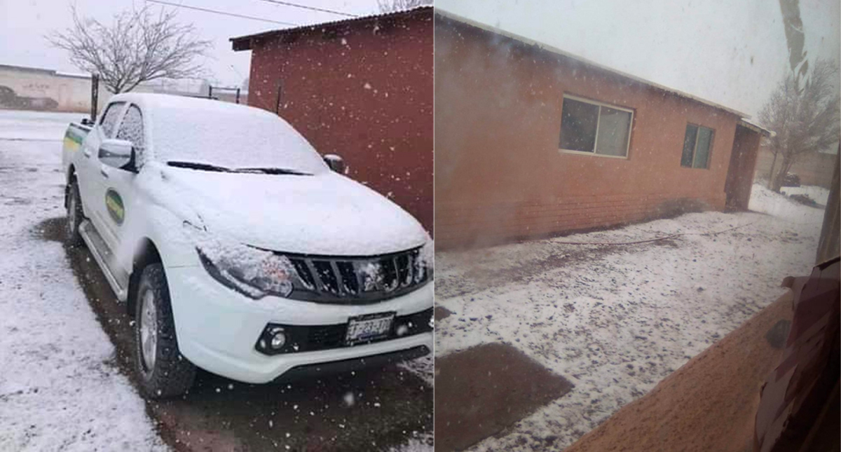 #Video Azotan nevadas en el norte del país por Frente Frío 39
