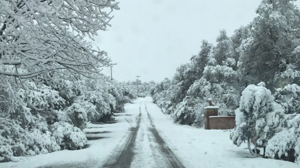 Nevadas cierran carreteras de montaña en San Diego - nieve-en-carretera-de-julian
