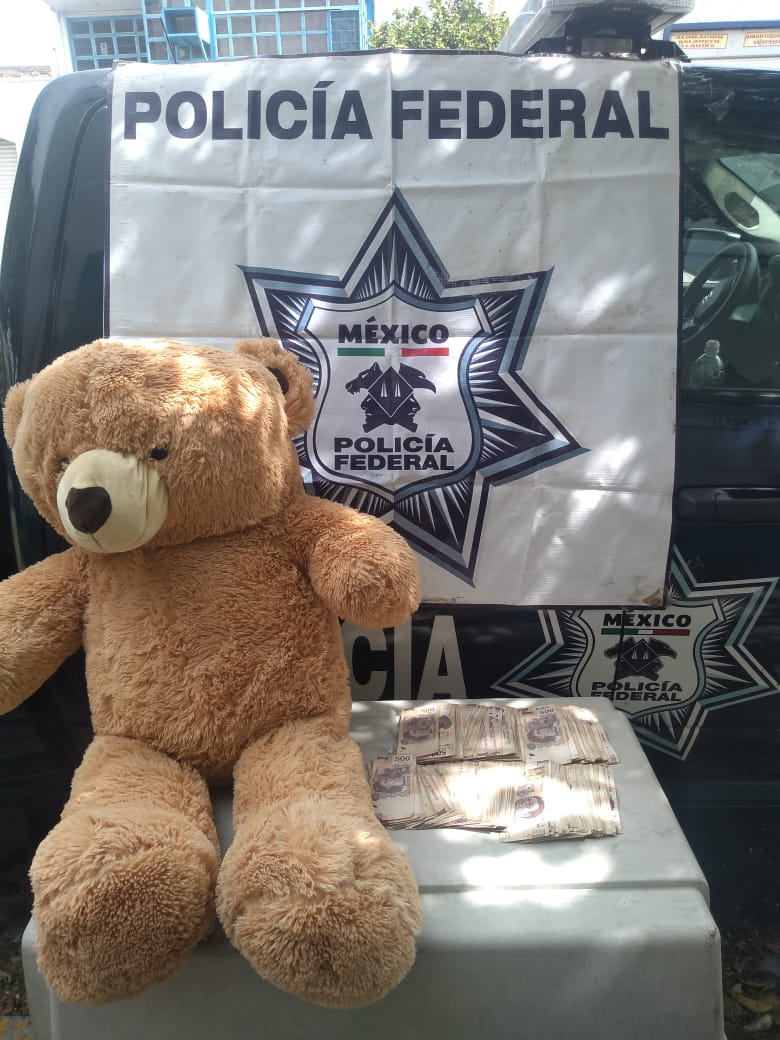 Hallan 200 mil pesos ocultos en oso de peluche en Jalisco - oso-peluche-jalisco-efectivo