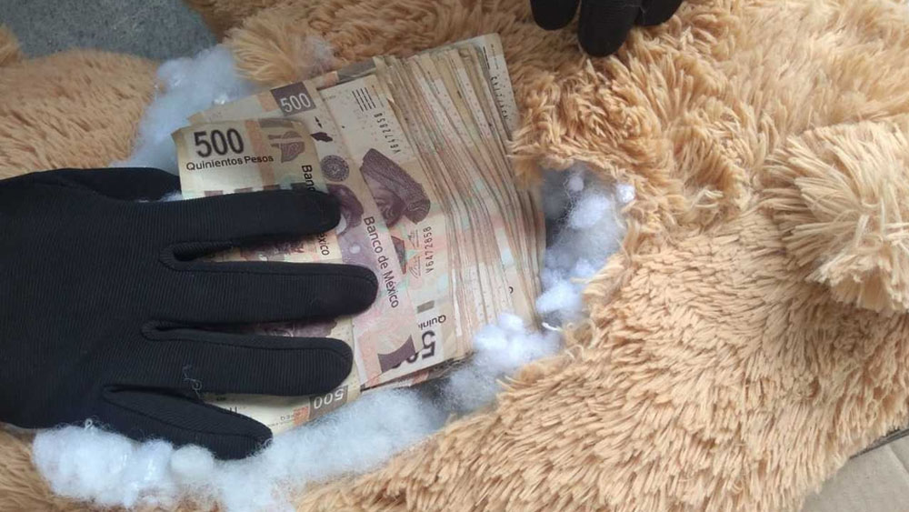 Hallan 200 mil pesos ocultos en oso de peluche en Jalisco